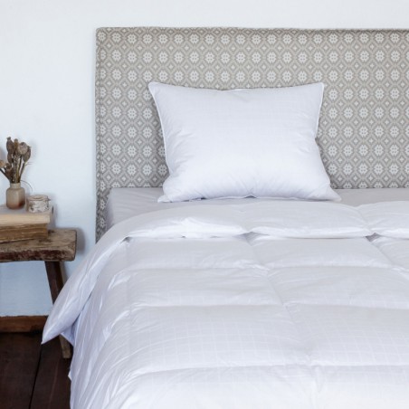 Laste suletekk DESIRE hind