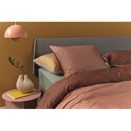 Innovative Terra padjakatted interneti teel