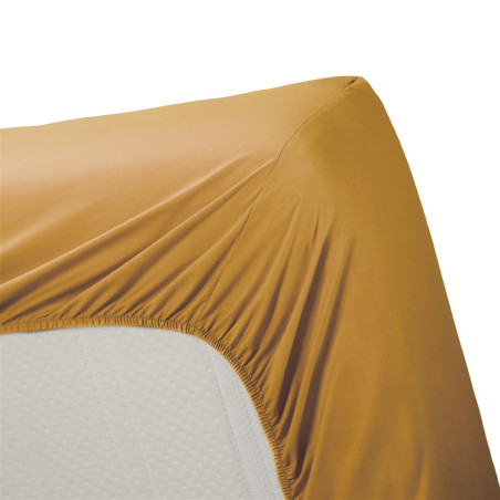 Cotton Uni HL Ochre paigaldatud leht hind