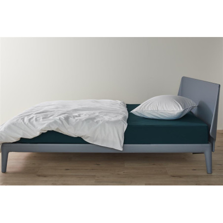 Jersey HL Sea Green kummiga lina interneti teel