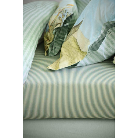 Duo Stripe Khaki Voodilina hind