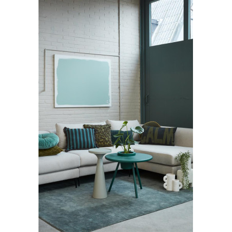 Dekoratiivne padi Leopold Green hind