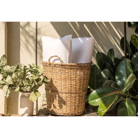 Padi Viscofresh hind